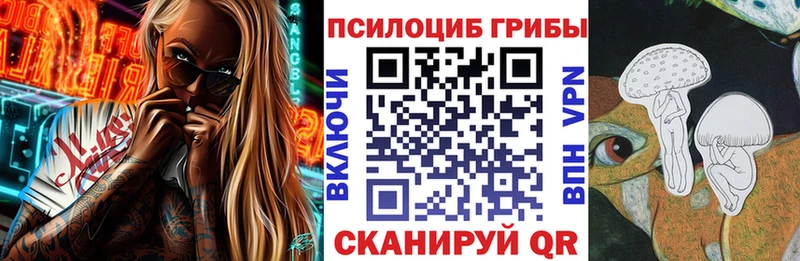 hydra рабочий сайт  Богородицк  Галлюциногенные грибы прущие грибы 